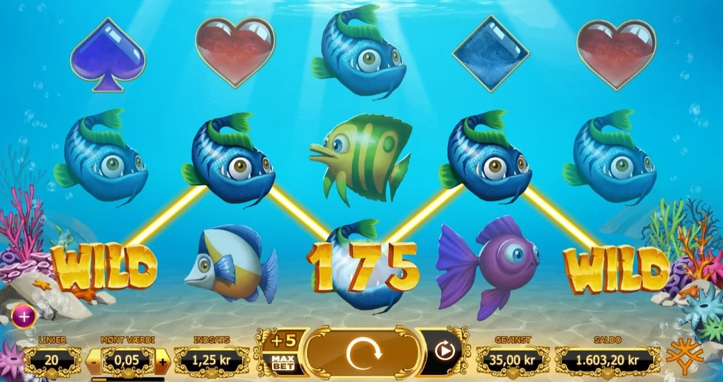 Spin reels win big.